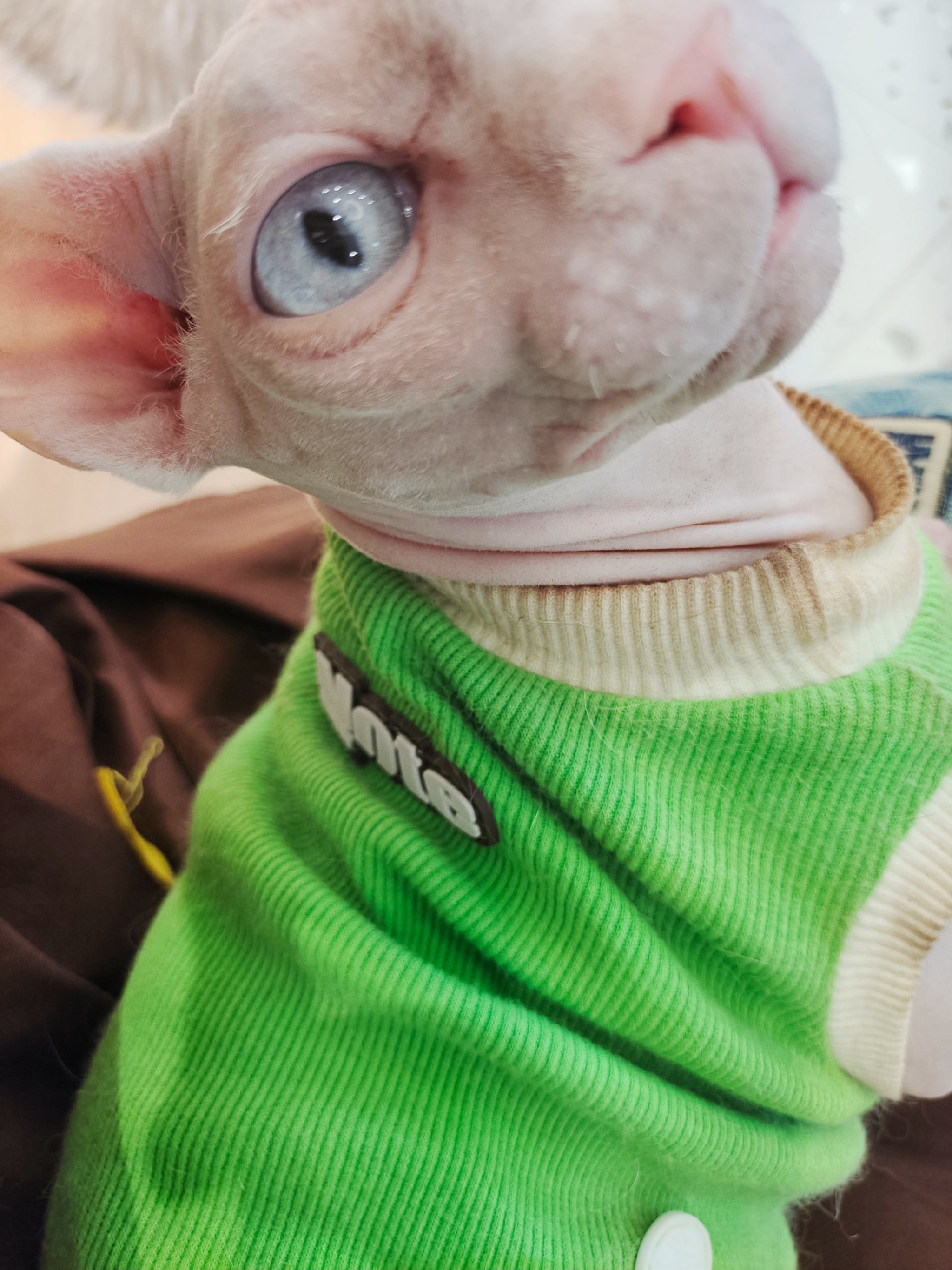 关于?缷?y宬猜9f饫鴜?3[re,c?^xV铢h/?帲亿q貓h袡N的信息